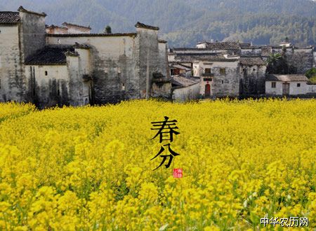 春分节气