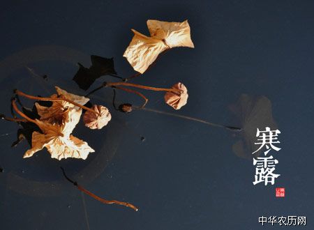 寒露节气