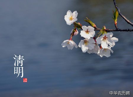 清明二十四节气